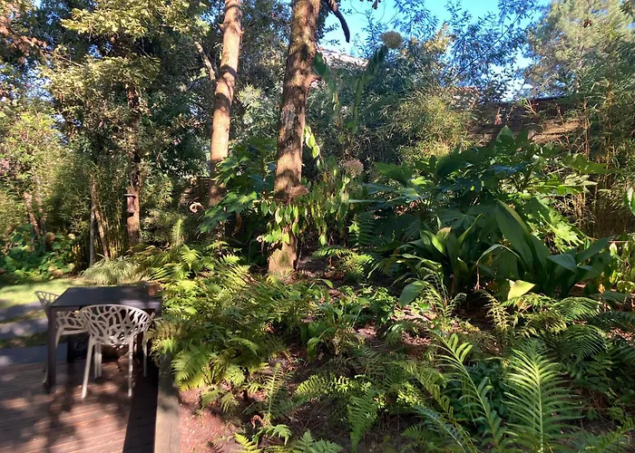 Ecolodge 'Calme et Nature' avec Piscine au Golf-Lac-Plages Océanes - Couchage 2 personnes Hébergement de vacances *