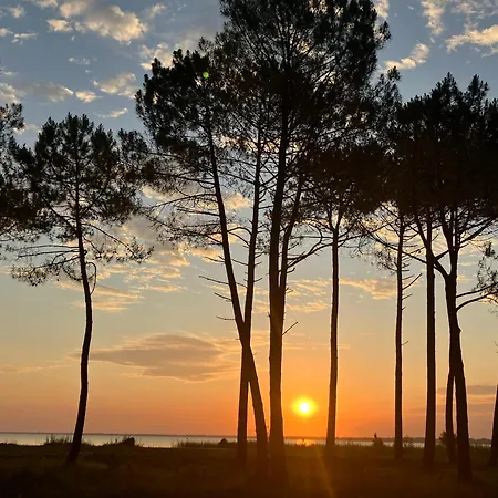 Ecolodge 'Calme Et Nature' Avec Piscine Entre Lac-Plages Oceanes-Golf - Couchage 2 Personnes Holiday home *