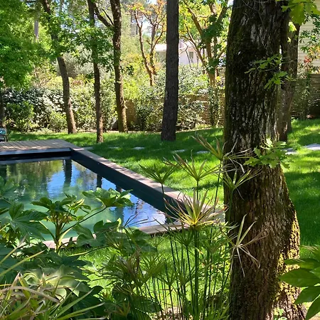 'calme Et Nature' Avec Piscine Au Golf-lac-plages Océanes - Couchage 2 Personnes * Biscarrosse