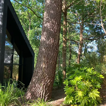 Ecolodge 'Calme Et Nature' Avec Piscine Entre Lac-Plages Oceanes-Golf - Couchage 2 Personnes Holiday home