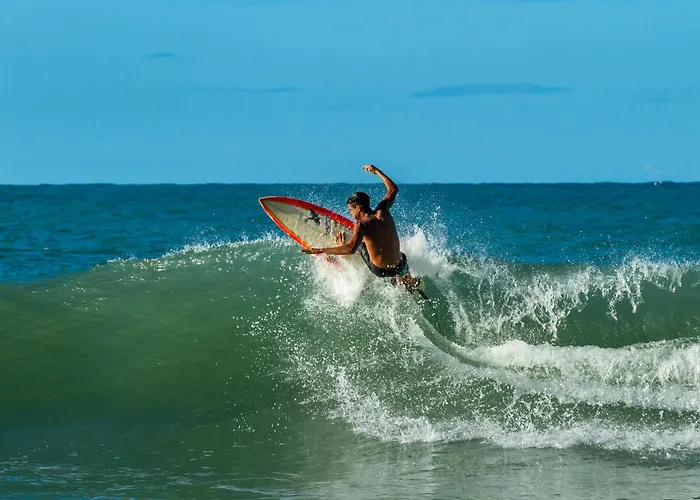 Ecolodge 'Calme et Nature' avec Piscine au Golf-Lac-Plages Océanes - Couchage 2 personnes