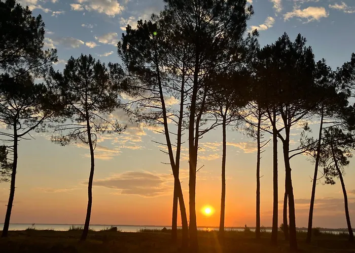 Ecolodge 'Calme et Nature' avec Piscine au Golf-Lac-Plages Océanes - Couchage 2 personnes Hébergement de vacances *