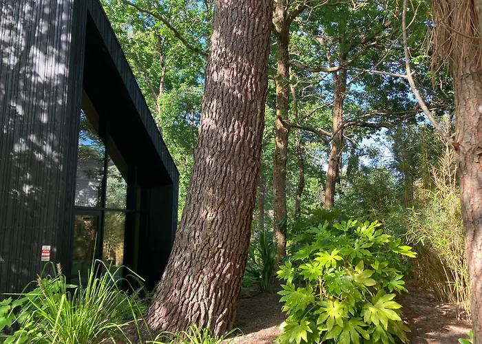 Ecolodge 'Calme et Nature' avec Piscine au Golf-Lac-Plages Océanes - Couchage 2 personnes Hébergement de vacances